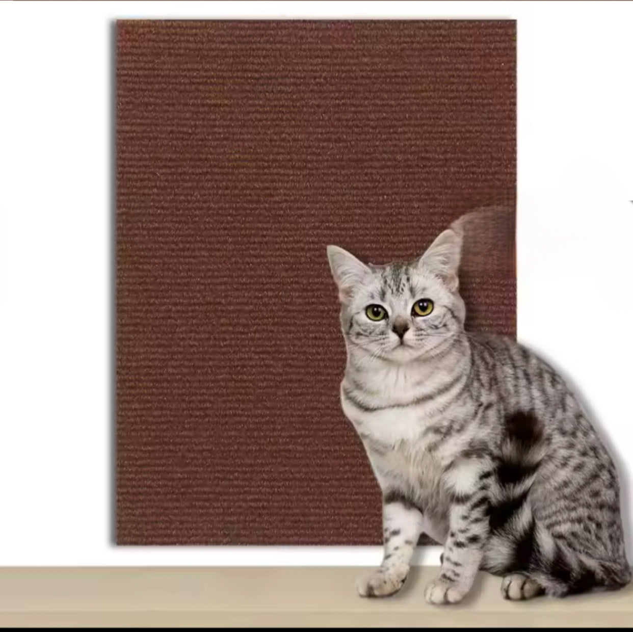 Protégeur de canapé pour chats - 7 couleurs