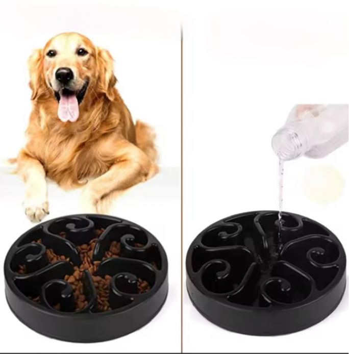 Bol d'Alimentation Lente pour Chien - Amusant et Écologique