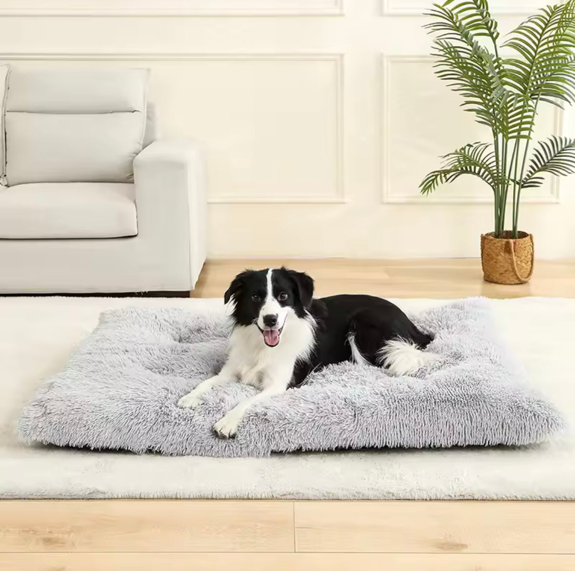 Lit Doux pour Chiens 60x80cm - Confort Premium