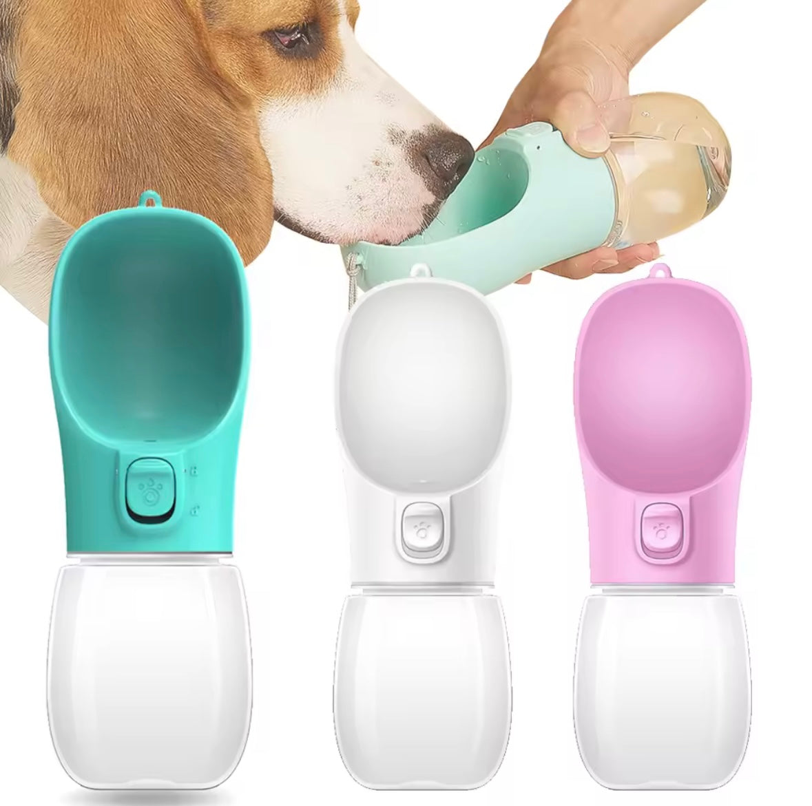 Bouteille d'eau Portable pour chien