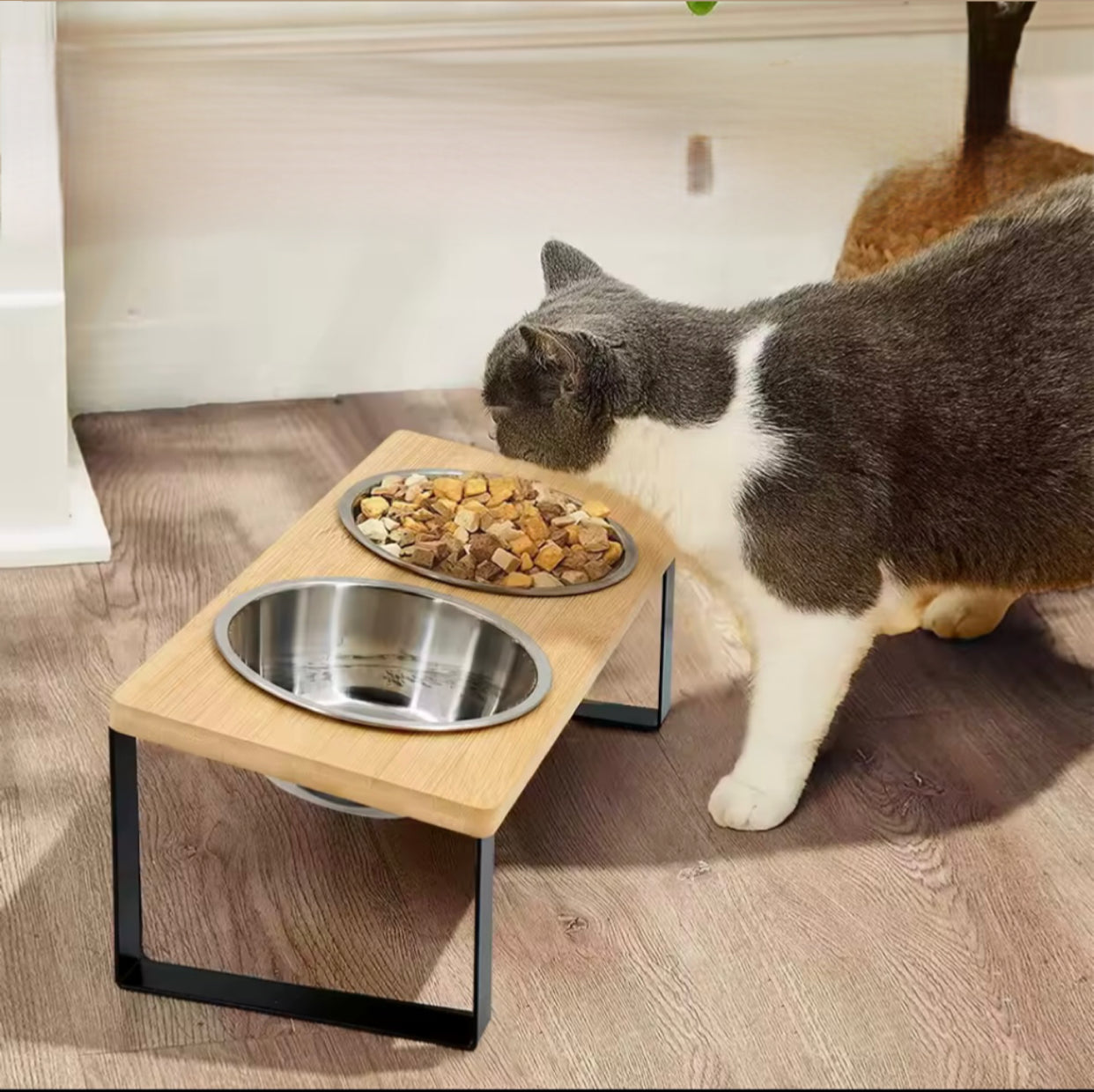 Bol Élevé Incliné pour Animaux de Compagnie