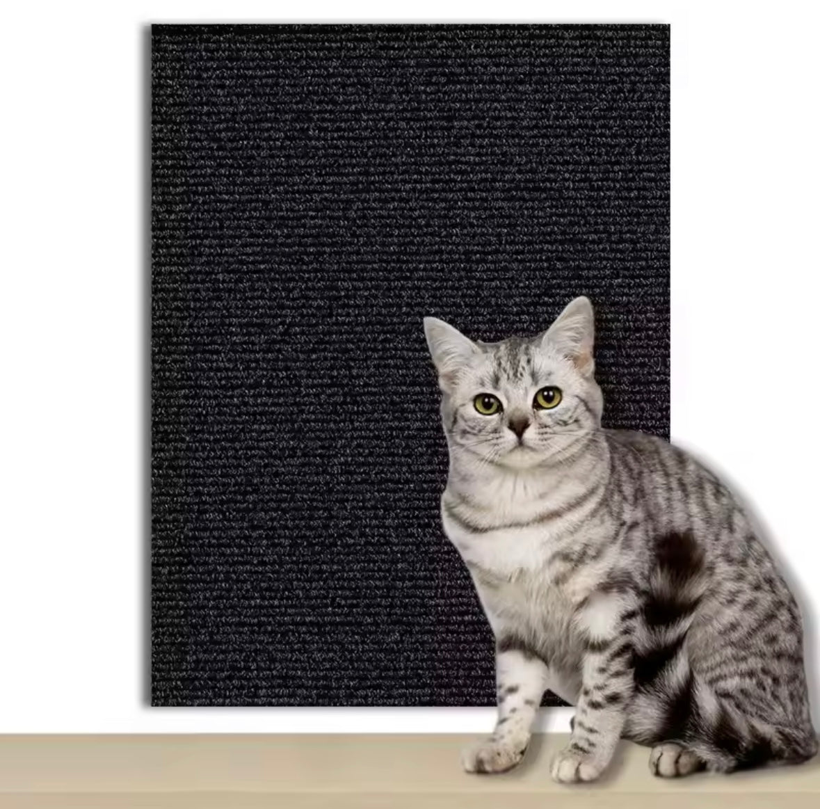 Protégeur de canapé pour chats - 7 couleurs