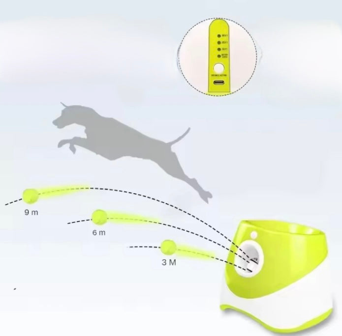 Lanceur de Balles pour Chiens - Amusement Illimité