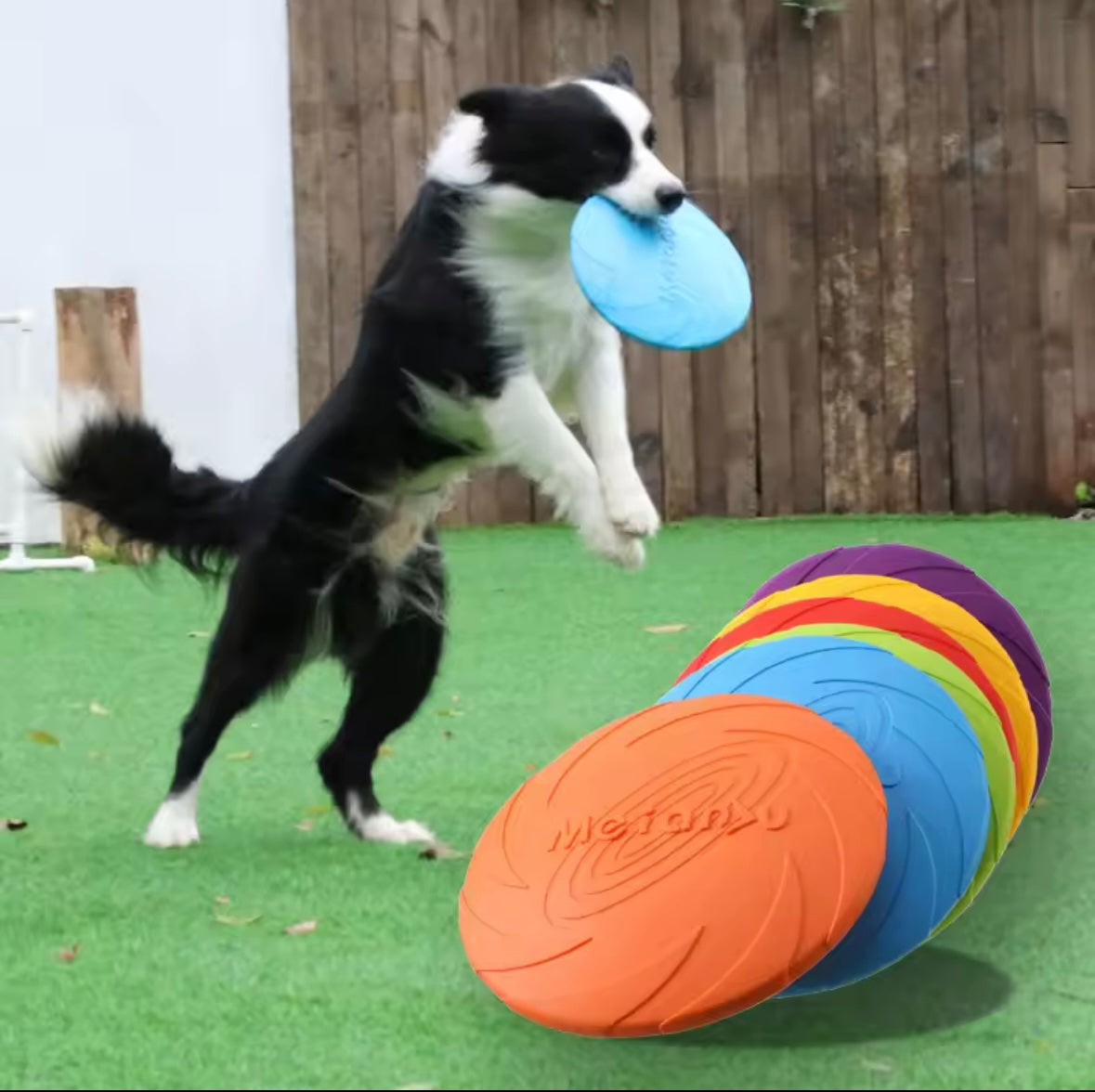 Disque Volant pour Chiens - Frisbee Résistant 6 Couleurs Disponibles