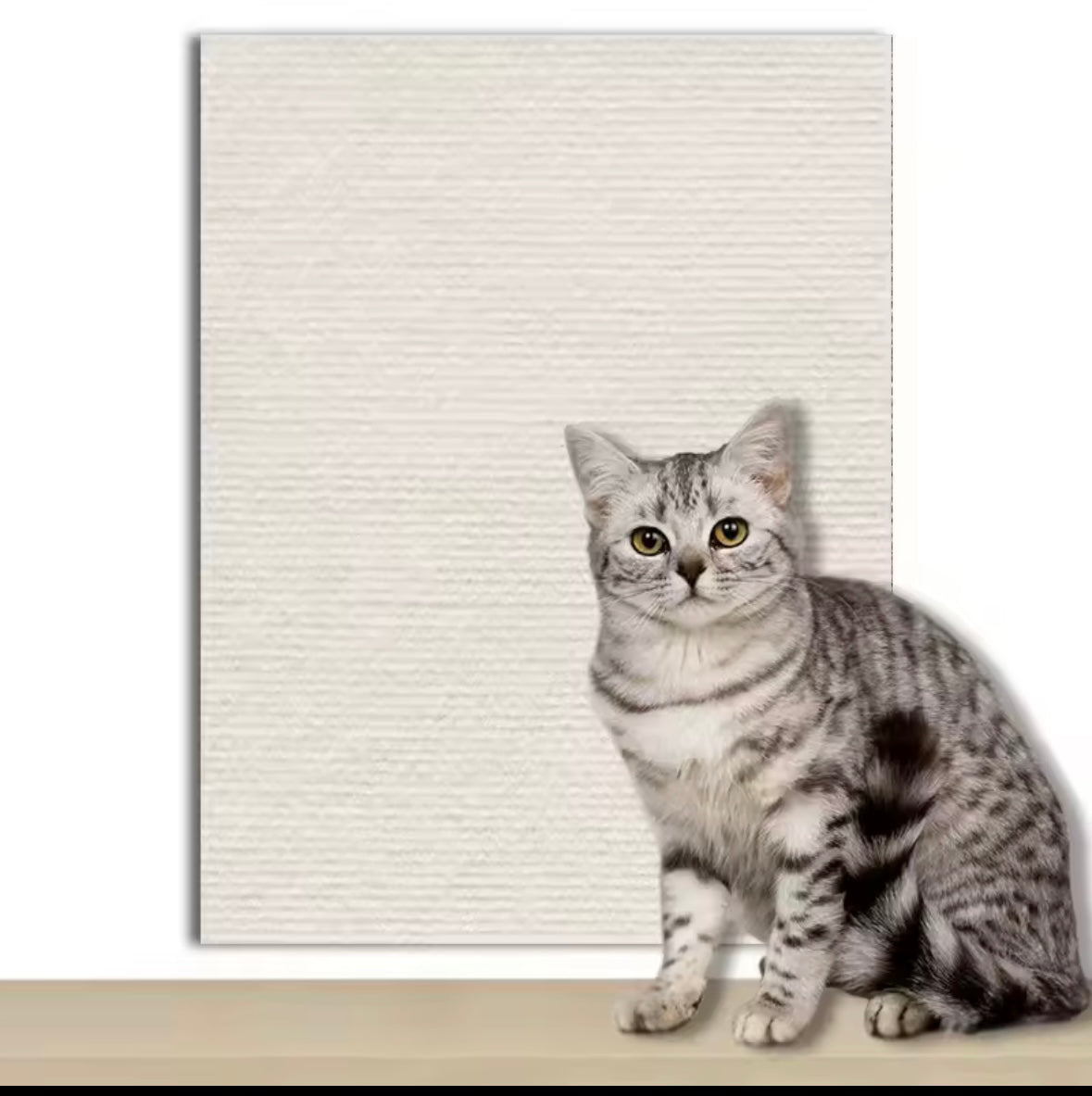 Protégeur de canapé pour chats - 7 couleurs