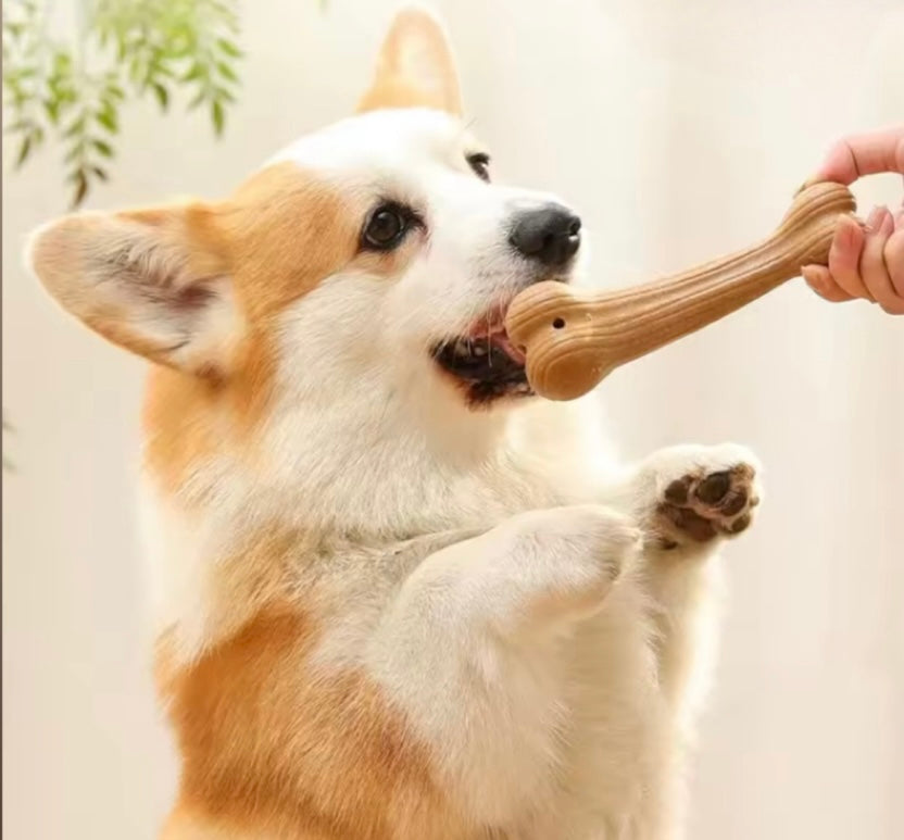 Jouets à mâcher pour chien - Durables et amusants