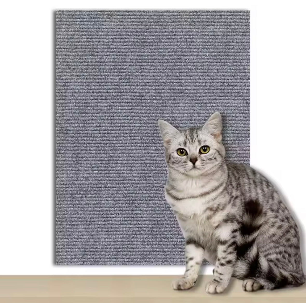 Protégeur de canapé pour chats - 7 couleurs