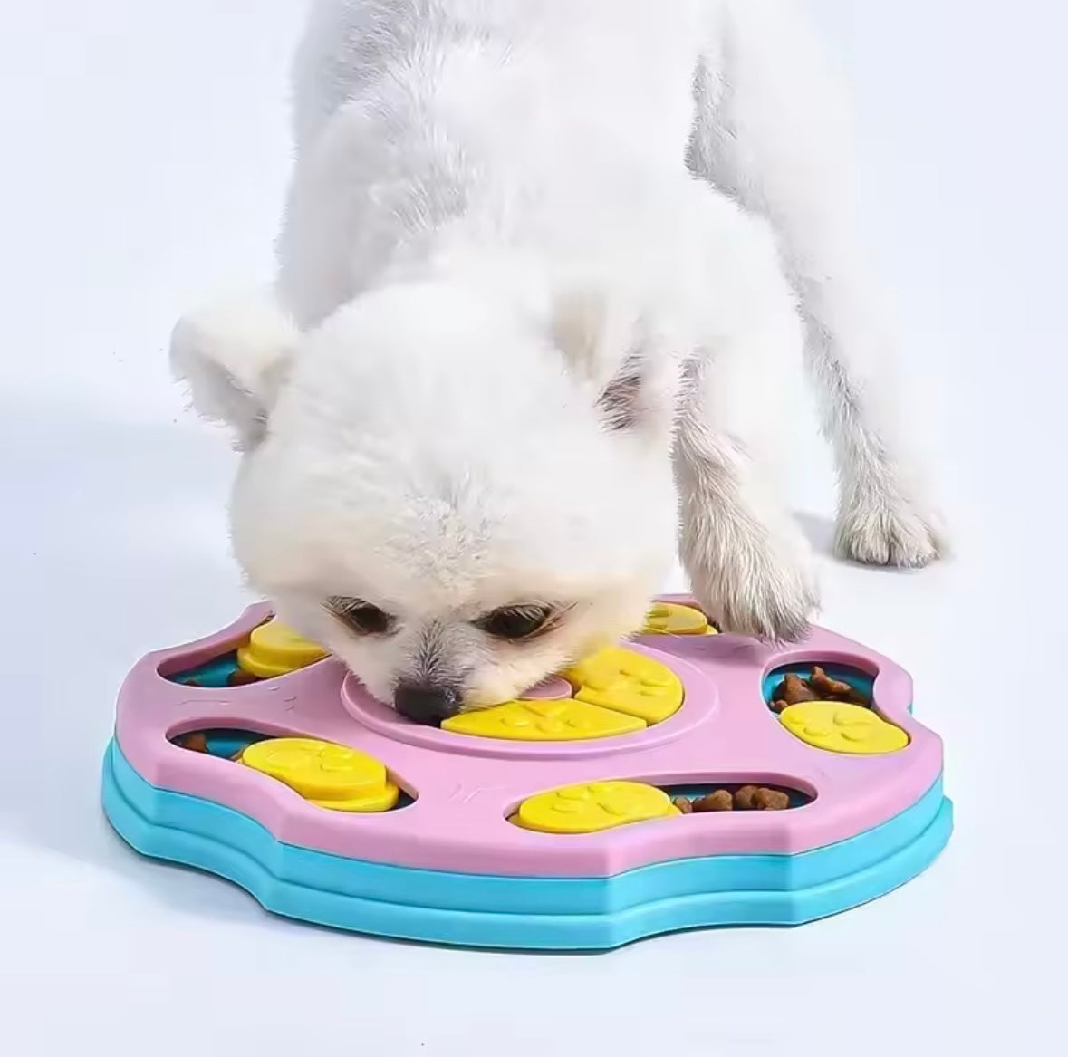 Jouets Puzzle pour Chiens - Mangeoire Lente Interactive