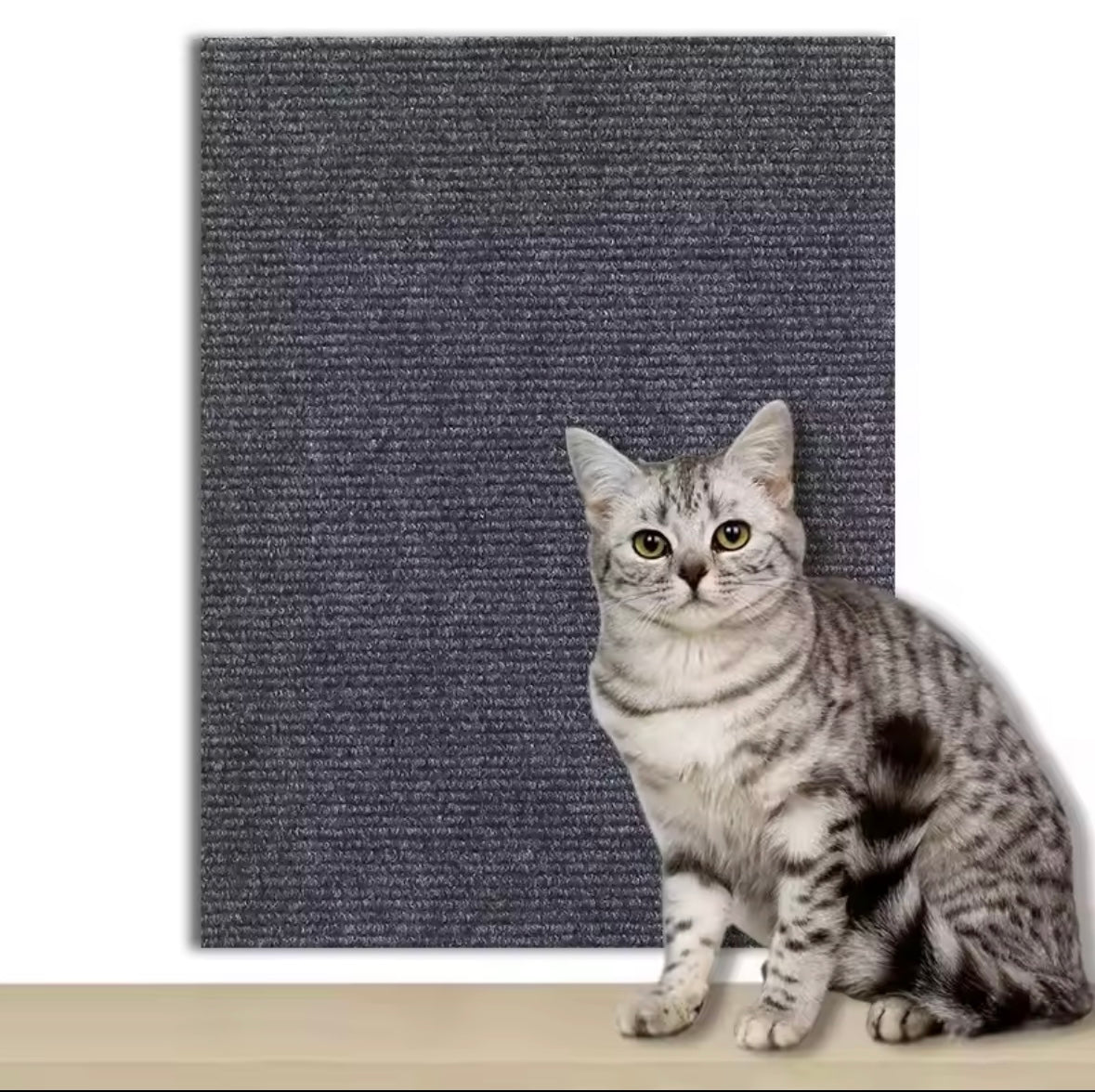 Protégeur de canapé pour chats - 7 couleurs