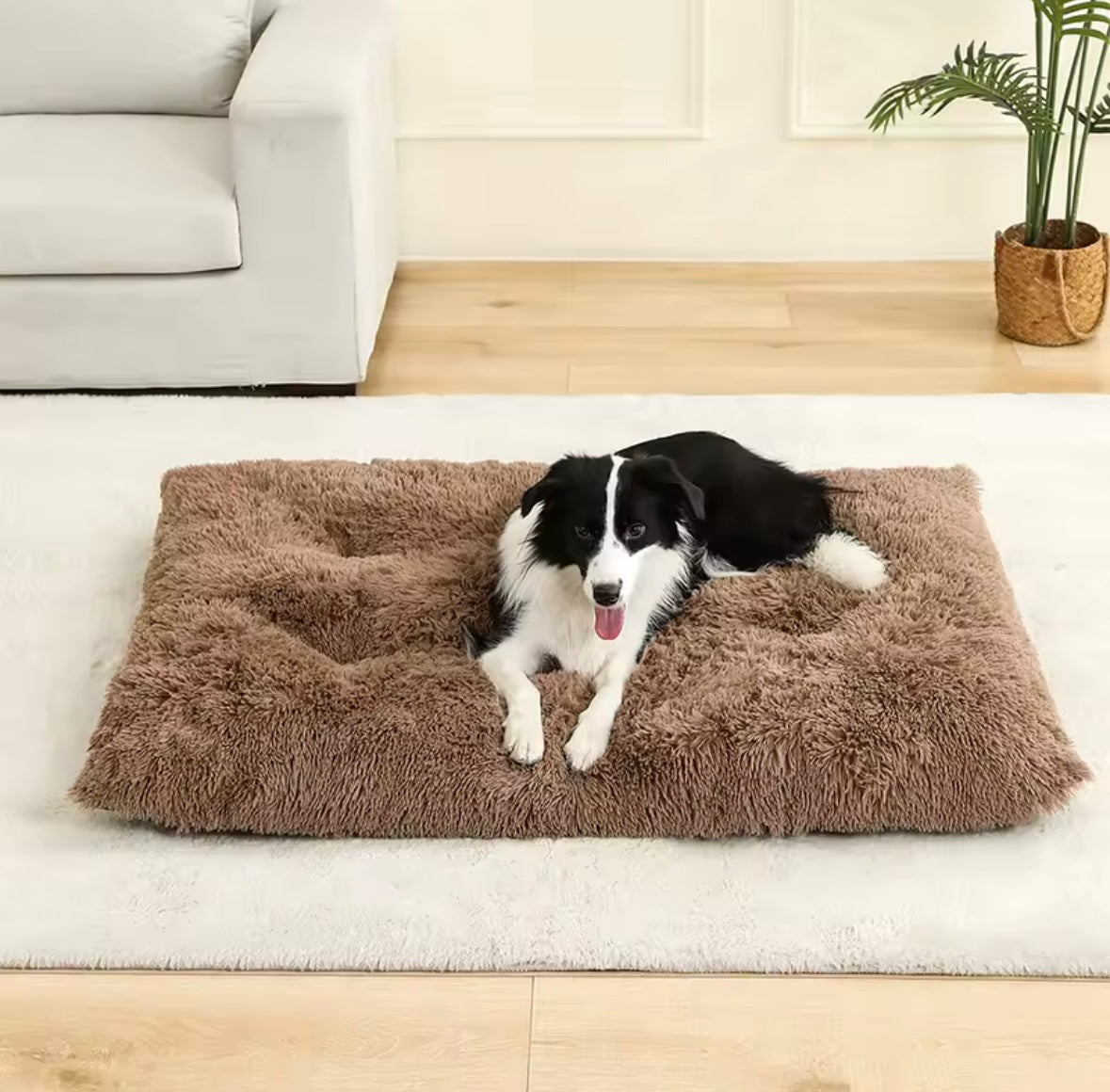 Lit Doux pour Chiens 60x80cm - Confort Premium