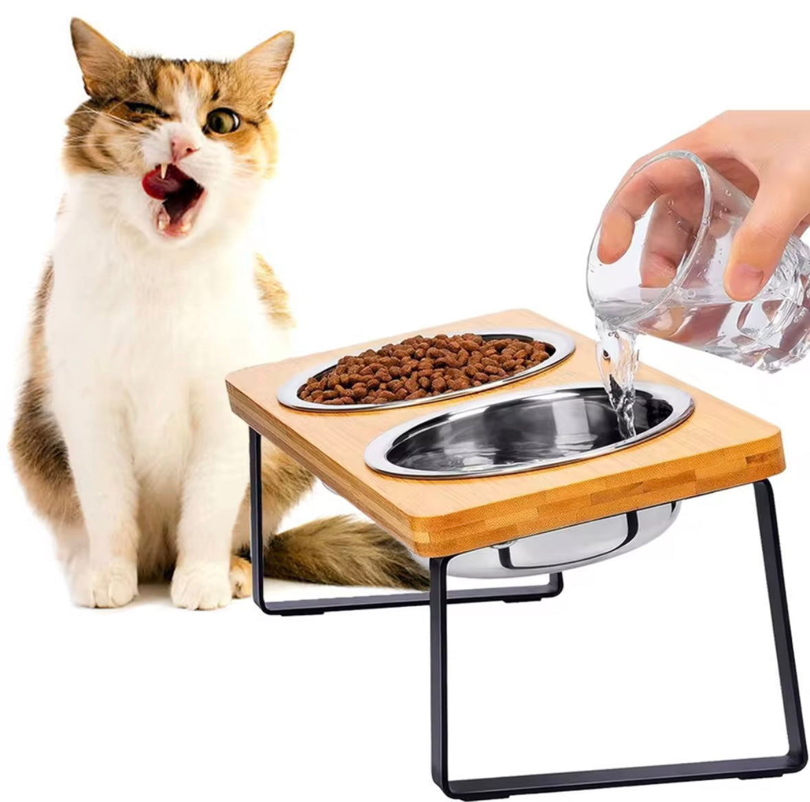 Bol Élevé Incliné pour Animaux de Compagnie