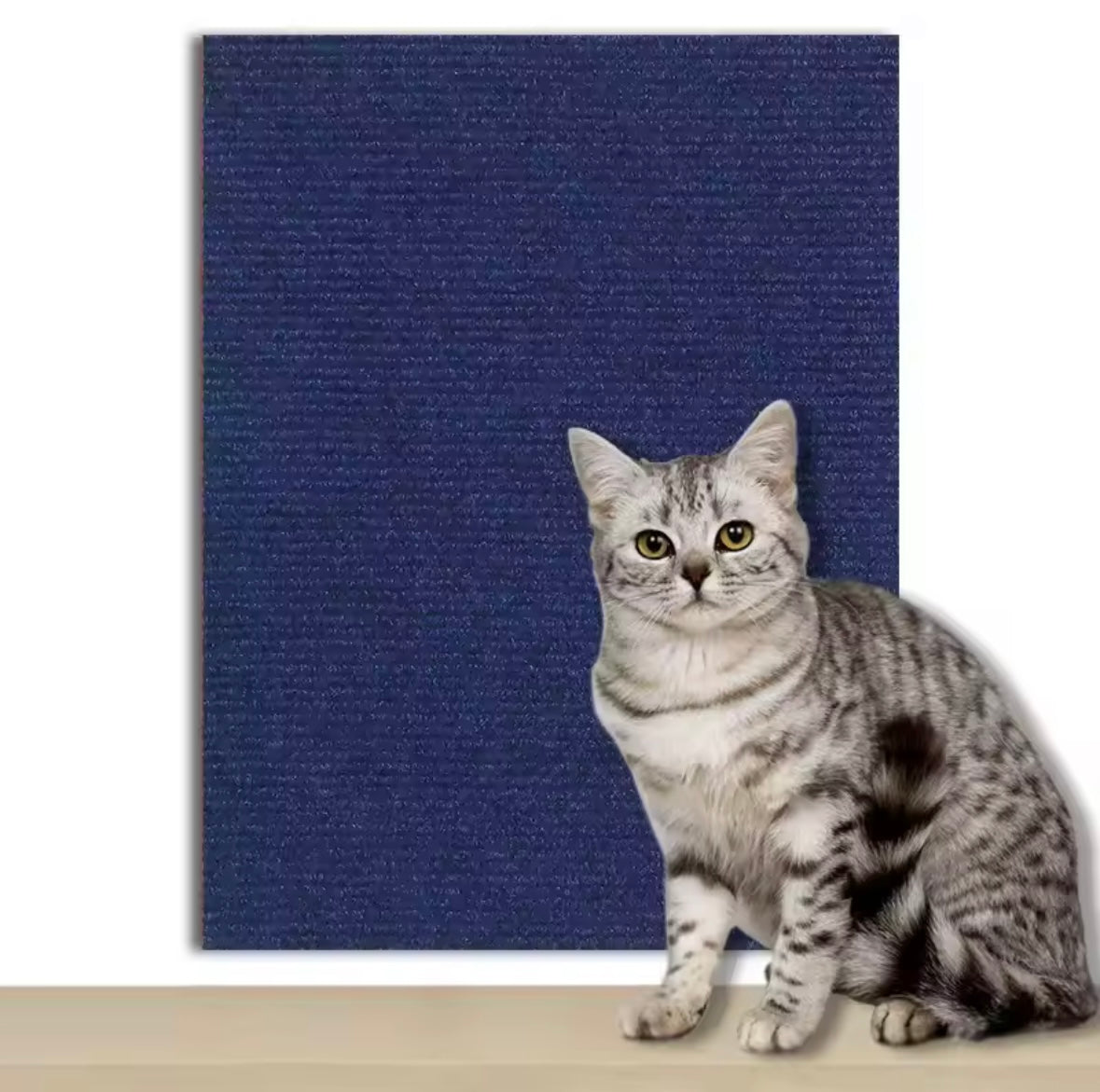 Protégeur de canapé pour chats - 7 couleurs