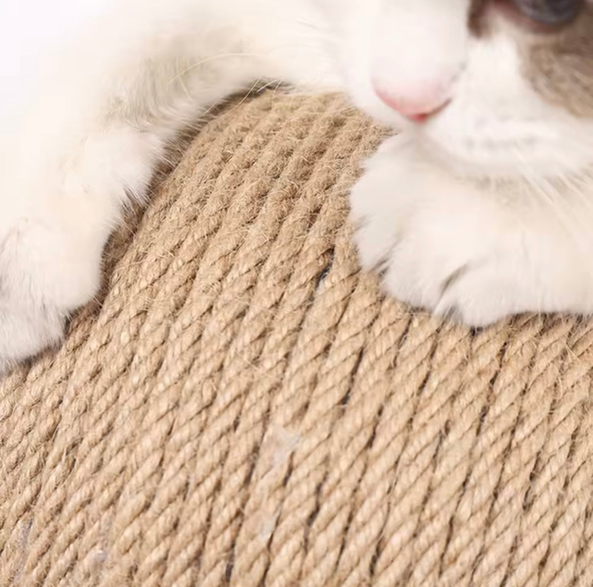 Balle à gratter pour chat en Sisal - Jouet d'exercice interactif